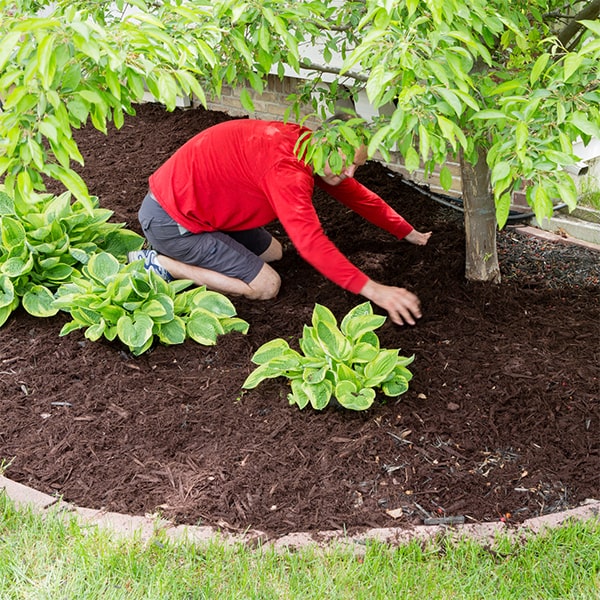 we start by removing any existing vegetation and debris to create a clean surface for mulch installation